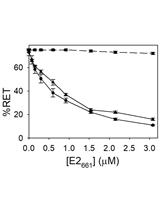 In vitro Membrane Interaction and Liposome Fusion Assays Using Recombinant Hepatitis C Virus Envelope Protein E2