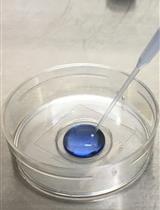 成像技术定量分析单细胞外囊泡中内容物的密度