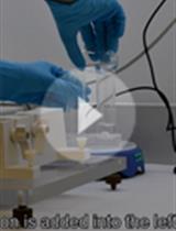 从蓝藻集胞藻sp. PCC 6803中分离类囊体膜并利用CN-PAGE非变性聚丙烯酰胺凝胶电泳分析光合色素蛋白复合物