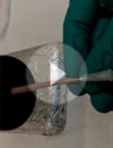 Adoptive Transfer of Monocytes Sorted from Bone Marrow