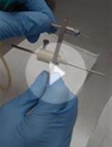 Cell Microencapsulation and Cryopreservation with Low Molecular Weight Hyaluronan and Dimethyl Sulfoxide