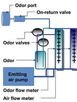 Assessing Olfaction Using Ultrasonic Vocalization Recordings in Mouse Pups with a Sono-olfactometer