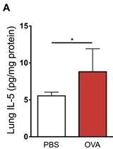 Early Life Ovalbumin Sensitization and Aerosol Challenge for the Induction of Allergic Airway Inflammation in a BALB/c Murine Model