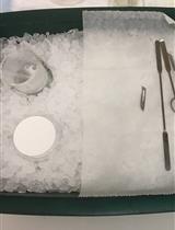 Acute Cerebellar Slice Preparation Using a Tissue Chopper