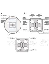 Primary Embryonic Rat Cortical Neuronal Culture and Chronic Rotenone  Treatment in Microfluidic Culture Devices