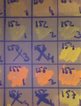 Delivering "Chromatic Bacteria" Fluorescent Protein Tags to Proteobacteria Using Conjugation