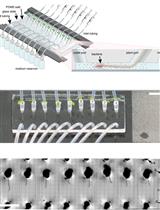Tracking Root Interactions System (TRIS) Experiment and Quality Control