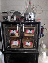 Inducing Alcohol Dependence in Rats Using Chronic Intermittent Exposure to Alcohol Vapor