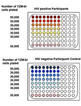 TZA, a Sensitive Reporter Cell-based Assay to Accurately and Rapidly Quantify Inducible, Replication-competent Latent HIV-1 from Resting CD4+ T Cells