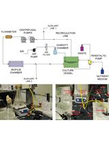 Assembly of a Custom-made Device to Study Spreading Patterns of Pseudomonas putida Biofilms