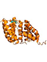 Tryptophan Fluorescence Quenching Assays for Measuring  Protein-ligand Binding Affinities: Principles and a Practical Guide