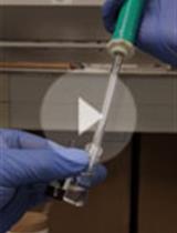 Fluorescence HPLC Analysis of the <em>in-vivo</em> Activity of Glucosylceramide Synthase