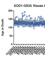 A High-throughput qPCR-based Method to Genotype the SOD1<sup>G93A</sup> Mouse  Model for Relative Copy Number