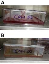 Production and Purification of Dengue Virus-like Particles from COS-1 Cells