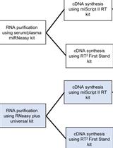 An Efficient Approach for RNA Extraction from Boar Sperm and Seminal Plasma