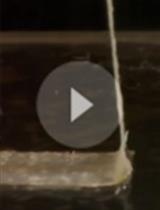 Adhesive and Cohesive Peel Force Measurement of Human Airway Mucus