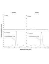 Quantification of Blumenol Derivatives as Leaf Biomarkers for Plant-AMF Association
