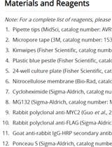 拟南芥蛋白半衰期的检测