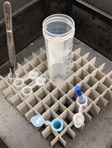 Cell Type-specific mRNA Purification in Caenorhabditis elegans via Translating Ribosome Affinity Purification