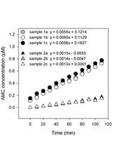 Assessment of Metacaspase Activity in Phytoplankton
