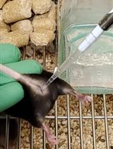 Estrous Cycle Monitoring in Mice with Rapid Data Visualization and Analysis