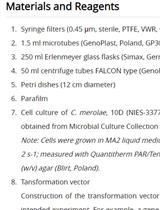 PEG介导的稳定的<em>Cyanidioschizon merolae</em>细胞核和叶绿体转化