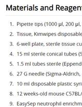 分离中性粒细胞核用于 NETosis分析