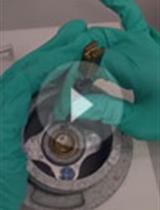 Cryo-transmission Electron Microscopy of Outer-inner Membrane Vesicles  Naturally Secreted by Gram-negative Pathogenic Bacteria