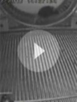 An Operant Conditioning Task to Assess the Choice between  Wheel Running and Palatable Food in Mice