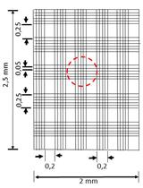 Measurement of Acid Ecto-phosphatase Activity in Live Leishmania donovani Parasites