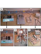Intracerebral Injection of Streptozotocin to Model Alzheimer Disease in Rats 