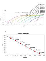 Quantification of HIV-2 DNA in Whole Blood