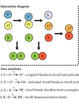 Probabilistic Models for Predicting Mutational Routes to New Adaptive Phenotypes