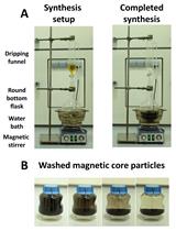 Simple Synthesis of Functionalized Paramagnetic Beads  for Nucleic Acid Purification and Manipulation