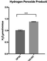 Amplex Red Assay for Measuring Hydrogen Peroxide Production from Caenorhabditis elegans