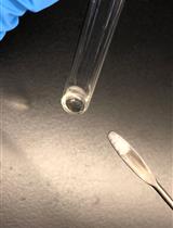 Purification and HPLC Analysis of Cell Wall Muropeptides from Caulobacter crescentus