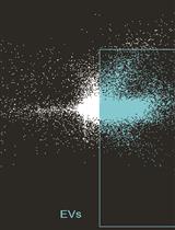 Using Imaging Flow Cytometry to Characterize Extracellular Vesicles Isolated from Cell Culture Media, Plasma or Urine