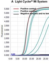 A Mismatch-tolerant RT-LAMP Method for Molecular Diagnosis of Highly Variable Viruses