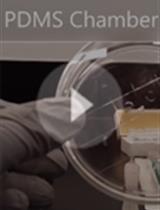 Opto-magnetic Selection and Isolation of Single Cells