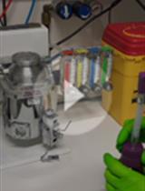 在小鼠模型中利用生物发光进行利什曼原虫的定量分析