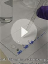 Super-resolution Microscopy at Cryogenic Temperatures Using Solid Immersion Lenses