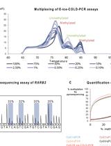 Enhanced-<em>ice</em>-COLD-PCR for the Sensitive Detection of Rare DNA Methylation Patterns in Liquid Biopsies