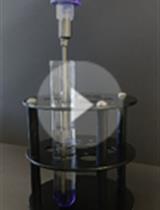 1型单纯疱疹病毒的繁殖,滴定和一步生长曲线