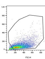 Quantification of Nitric Oxide and Reactive Oxygen Species in Leishmania-infected J774A.1 Macrophages as a Response to the in vitro Treatment with a Natural Product Compound