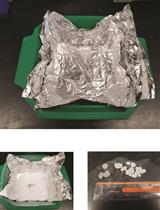 Protocol for Ribosome Profiling in Bacteria