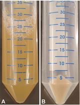 通过合成共价闭合环状（3Cs）DNA构建无偏和专用CRISPR / Cas gRNA文库