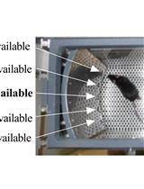 The Mouse Gambling Task: Assessing Individual Decision-making Strategies in Mice