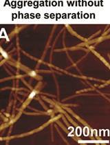 Studying Protein Aggregation in the Context of Liquid-liquid Phase Separation Using Fluorescence and Atomic Force Microscopy, Fluorescence and Turbidity Assays, and FRAP