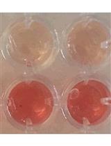 Evaluating Whole Blood Clotting in vitro on Biomaterial Surfaces