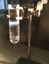 Expression and Purification of Adeno-associated Virus Virus-like Particles in a Baculovirus System and AAVR Ectodomain Constructs in E. coli